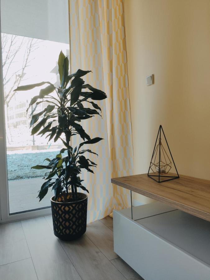 Przytulny Apartament Z Ogrodkiem Kraków Eksteriør billede